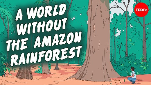 What would happen if the entire Amazon disappeared? Explore the relationship between the rainforest and the rest of the planet to find out: | TED-Ed