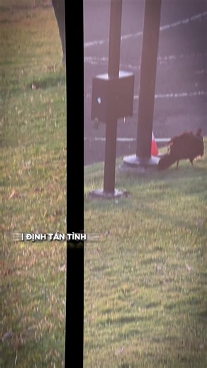 love and hugs Nathan