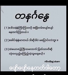 Understanding Burmese Scripts and Instructions
