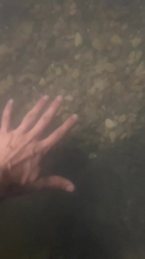 Eel Hole Clearing Process with Effective Filter Assistance