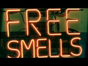 What Kind of Pheromones might Humans Have? - Dr Tristram Wyatt