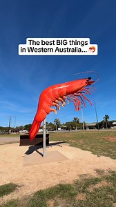 Everything from the Big Prawn to the Big Arch, WA is full of oversized things… which one is your favourite? 1. The Big Prawn, Exmouth 2. The Big Camera, Northam 3. The Giant Ram, Wagin 4. The Big Banana, Carnarvon 5. The Big Croc, Broome When road tripping around WA, make sure you keep an eye out for these iconic statues and also pick up one of McDonald’s new Big Arch for the drive. Available now! In partnership with McDonald's | Perth is OK