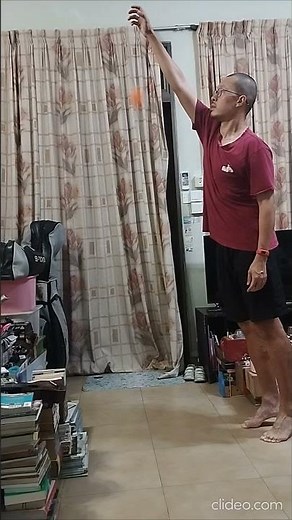 Plausible? Reversed with clideo.com