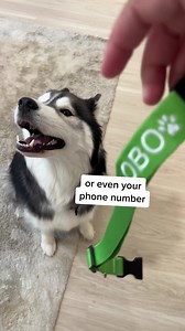 7.4K reactions · 601 shares | What's better than the perfect collar for your pup? The perfect collar that's personalized with their name, your number, and anything else your heart desires  Collars come in 7 sizes (and an option for cats!) and get free personalization! | HotDogCollars.com | Facebook