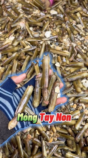 15K views · 113 reactions | Móng Tay Non #huynhlien86 #haisan | Huỳnh Liên 86 | Facebook