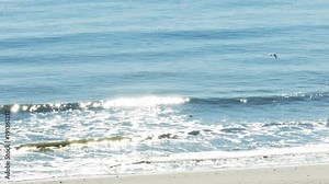 Crystal Blue Ocean Waves Sparkling in the Sunlight, 4K