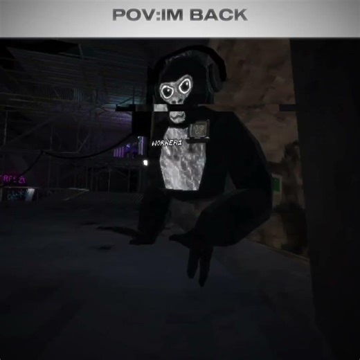 Monkey dimensions episode 3