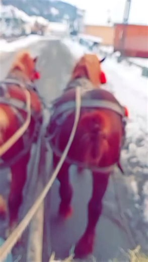 Videoclipuri postate de Digei Leo (@digeileo) cu 365 de zile - LuCash Music