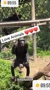 1.9K views · 6 comments | How far weekly challenges | Tabeth Tapiwa Mangisi | Facebook