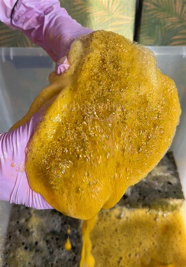 Super thick😗 #cleantok #asmr #spongesqueezingasmr #fypage #viral | cleaning