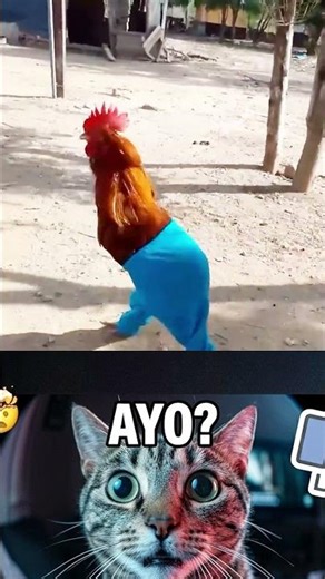 Zero Brain Cells, 100% Funny Animals 😹