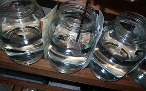 BASIC CARE AND TRAINING