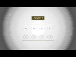 Capillary Electrophoresis: UBC CHEM 3rd year Analytical Chemistry