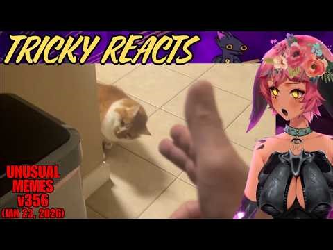 Tricky Reacts to Unusual Memes (Jan 23, 2026)