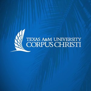 Don't let finances get in the way of your success. Get your 100% online MBA for just $12,387. | Texas A&M University-Corpus Christi | Facebook