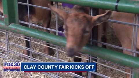 Clay County Fair highlights importance of young farmers