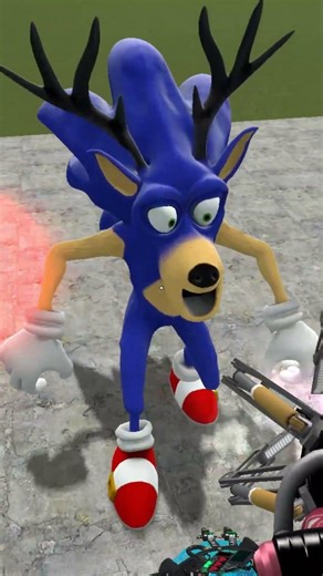 sonic cursed
