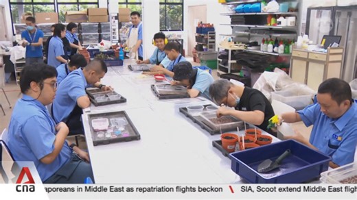 More sheltered workshop slots, housing options for persons with disabilities