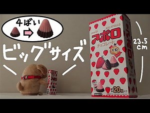 meiji 【BIG APOLLO】 chocolate