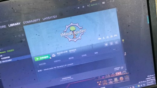 tmodloader有正版泰拉为什么打不开
