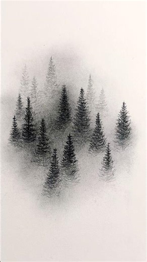 Simple graphite drawing: Foggy Spruce Forest #drawing #viral