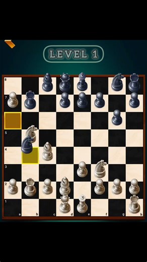 Chess game play Level 1 simple game Beginner