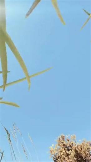 dayz fresh spawn experience.