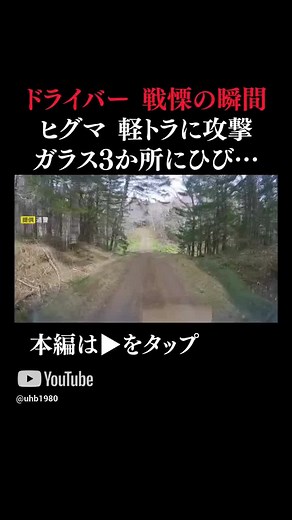 👆本編はこちら👆【衝撃映像】クマが走行中の車を襲う クラクションにもひるまずフロントガラスにひび …“子グマ”を守ろうと突進 北海道での目撃は4月だけで135件も #北海道 #ヒグマ #クマ #北海道ニュースUHB #ヒグマ列伝 #TikTokでニュース