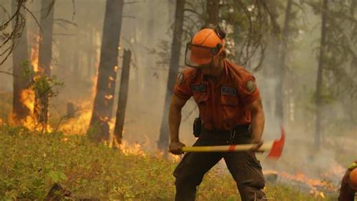 43K views · 758 reactions | The BC Wildfire Service continues to...