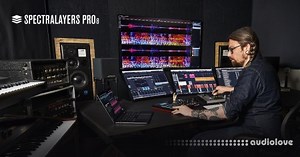 Steinberg SpectraLayers Pro v8.0.20 WiN