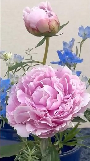 Easy Peony Ikebana with Kenzan ｜Japanese flower Arrangement Tutorial#ikebana #peony #floral