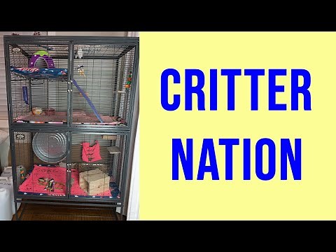 Critter Nation Cage Unboxing and Review
