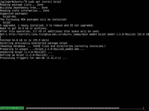 Ubuntu安装bzip2软件