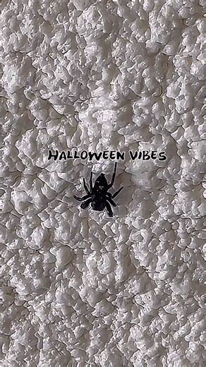 Energy savings so good, it’s spooky! #Halloween #SpookySavings#sprayfoam | InsCoat LLC Insulation and Coatings