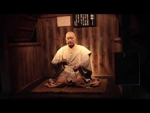 Ｒ７佐渡島で朱鷺と金