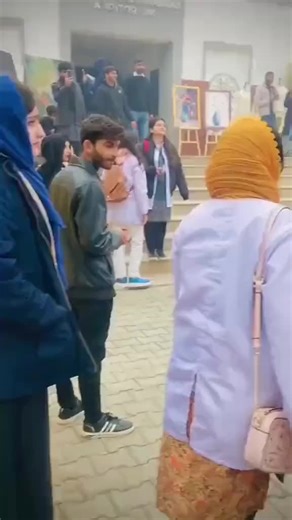 Embracing College Life: Tips and Insights