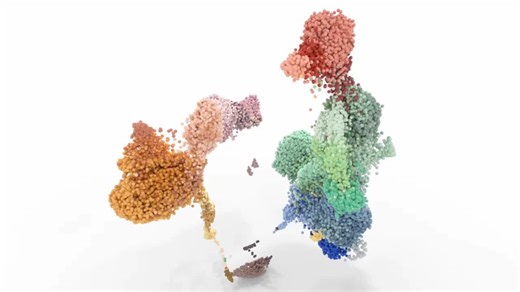 How T cells change with age, a dynamic process | Nicolas Hubacz, M.S. posted on the topic | LinkedIn