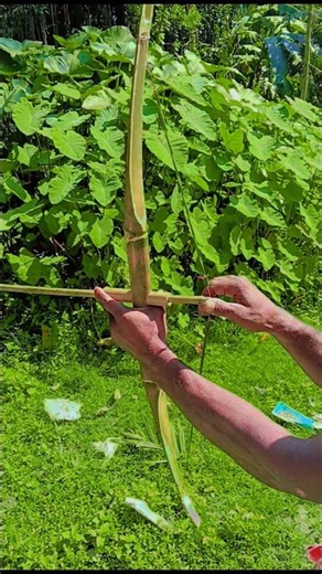 An excellent bow and arrow made of bamboo.#shorts #DIY #Slingshots#Toy