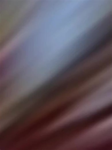 Bolivian War of Independence: A Nationalist Perspective