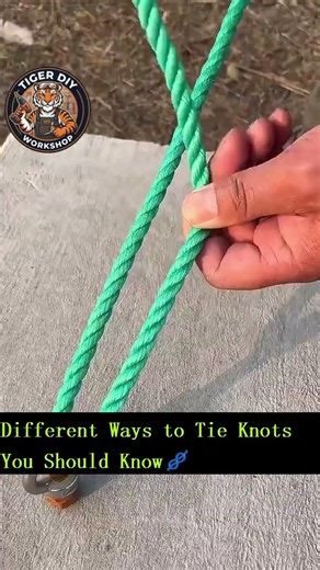 Knot Tying 101 Useful Knots Explained🪢