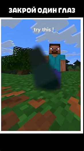 close one eye #Minecraft #illusion