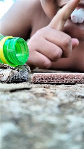 Just given chocolate, the centipede immediately danced happily with me #millipede #shortsvideo