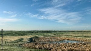 Driving in the South Dakota countryside with farm land on both sides of the road.