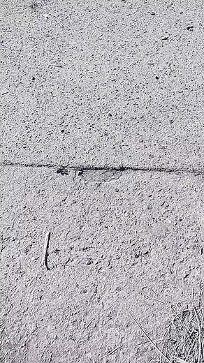 Sarah Tonin on TikTok