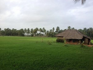 A Glimpse into What Rural Village Life in India is Like - Karl Rock's Blog
