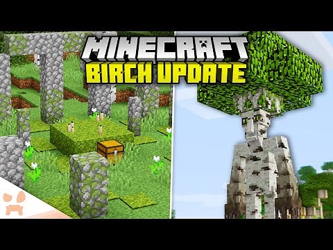 15 Birch Forest Updates Minecraft Needs!