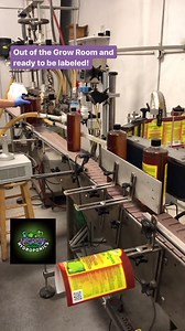 Making Photosynthesis Plus is quite the process!  @microbelifehydro...