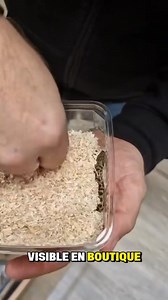 Stéphane est convaincu que Noël est arrivé en avance chez Reptilis Shop ! Du coup, il débarque avec toute une sélection de pythons… prêts à faire briller les yeux des passionnés ! Retrouvez tous nos reptiles ici www.reptilis.com 👈 #reptilisshop #reptilis_breeding_center #reptilis #reptiles #serpent #terrario #terrarium #snake #python #antaresia #antaresiamaculosa #morelia #moreliabredli #liasis #leiopython #leiopythonalbertisii | Reptilis