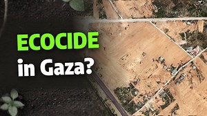 Satellite data shows 98 percent of Gaza’s tree crops are now destroyed by Israel