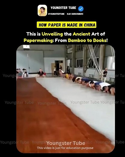 FROM TREE TO SHEET: 🌴THE SHOCKING TRUTH BEHIND CHINA’S PAPER MAKING! 🔖